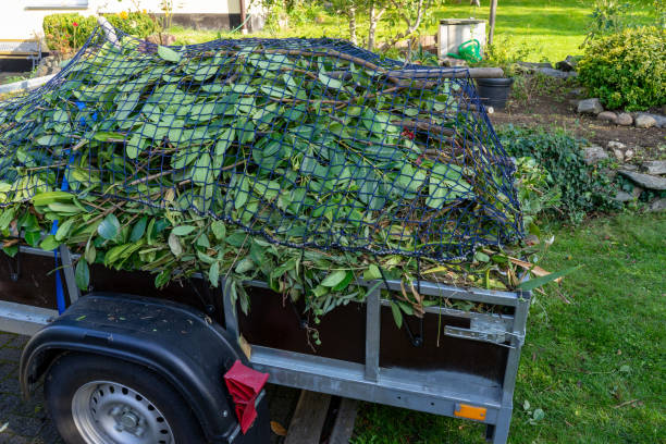 Best Furniture Removal  in Hayward, CA